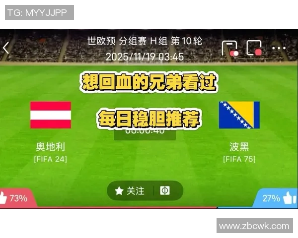 波黑与奥地利的较量结果揭晓谁是胜者与关键时刻分析